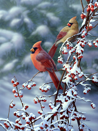 cardinals in snow