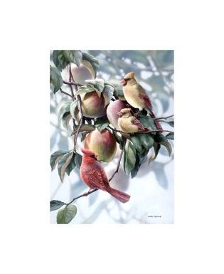Bradley Jackson | Wildlife Artist
