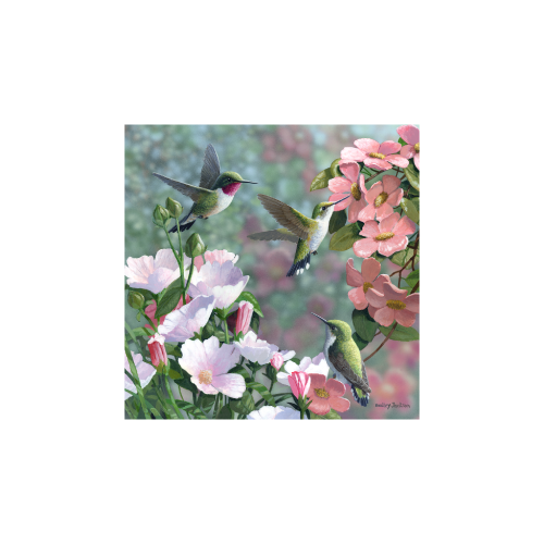 Bradley Jackson | Wildlife Artist