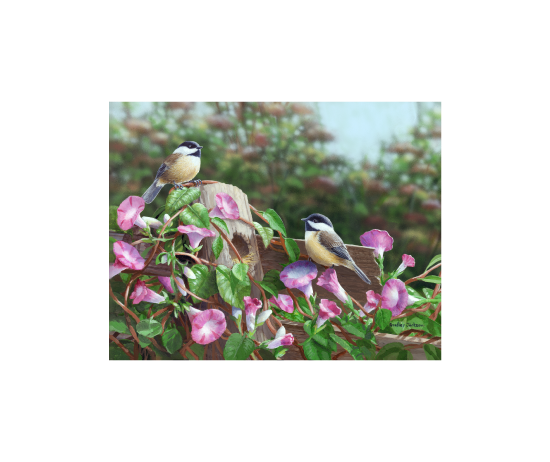 Bradley Jackson | Wildlife Artist