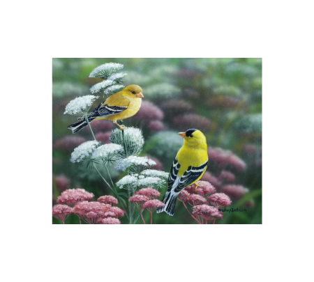 Bradley Jackson | Wildlife Artist