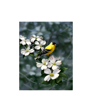 Bradley Jackson 花と金のあしらいのパネルアート Bradley Jackson | Wildlife Artist