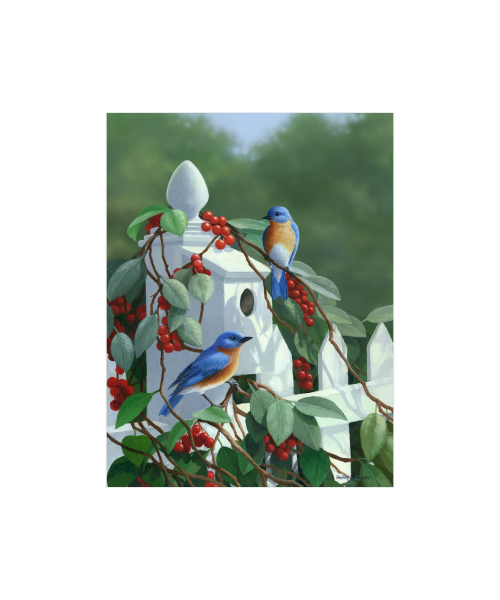 Bradley Jackson | Wildlife Artist