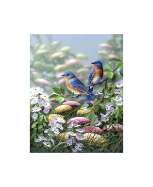 Bradley Jackson | Wildlife Artist