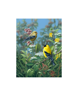 Bradley Jackson 花と金のあしらいのパネルアート Bradley Jackson | Wildlife Artist