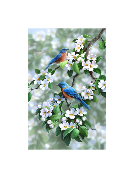 Bradley Jackson | Wildlife Artist