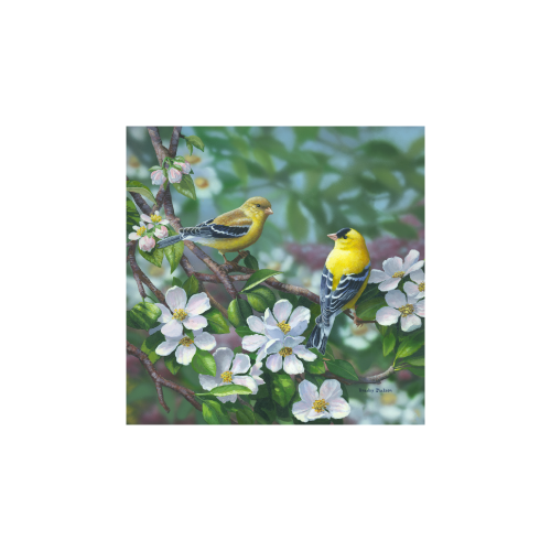 Bradley Jackson | Wildlife Artist Bradley Jackson | Wildlife Artist