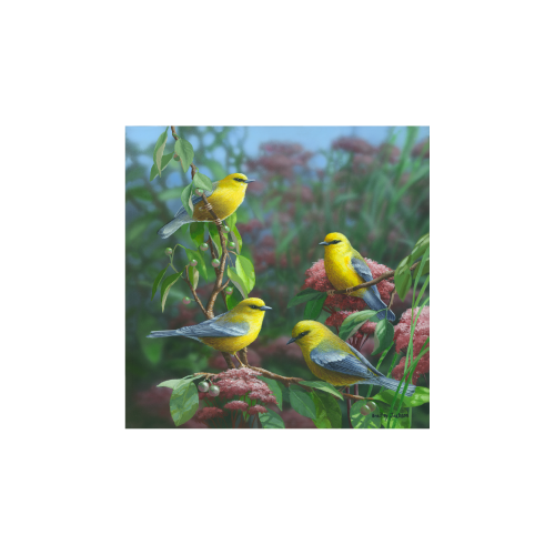 Bradley Jackson 花と金のあしらいのパネルアート Bradley Jackson | Wildlife Artist