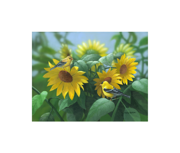 Bradley Jackson | Wildlife Artist