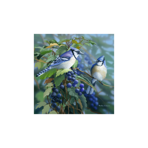 Bradley Jackson | Wildlife Artist